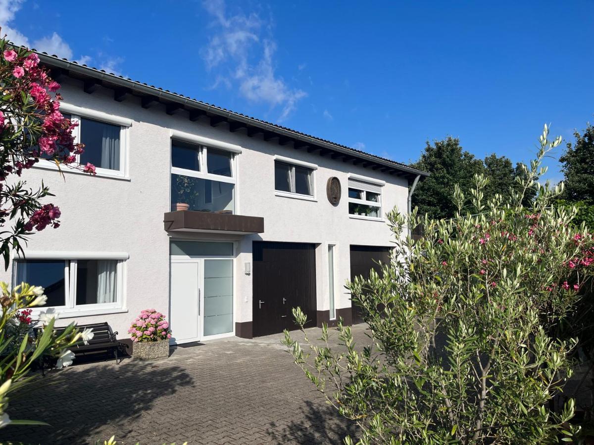 Apartment 100 Qm Im Weindorf - Balkon/Garage Aspisheim Extérieur photo