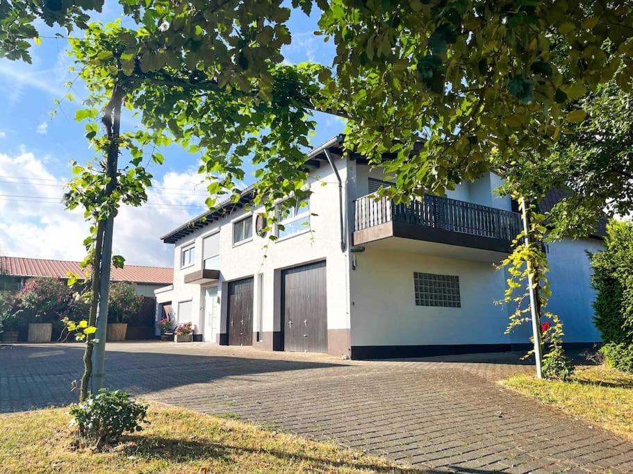 Apartment 100 Qm Im Weindorf - Balkon/Garage Aspisheim Extérieur photo